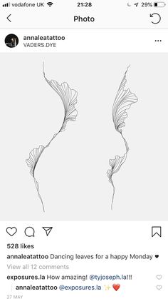 an instagram with two dancing leaves on it and the caption says happy monday