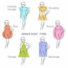 the different types of female body types