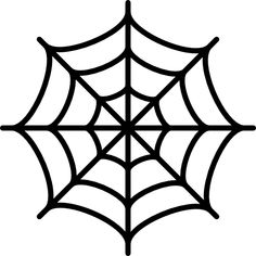 a spider web on a white background