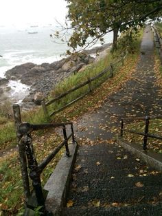 an empty path leading to the ocean with fall leaves on the ground and water in the background