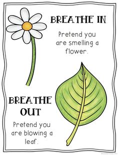 FREE Mindful Breathing Posters- Includes 3 posters to help students practice mindfulness through deep breathing. Mindful Breathing, Conscious Discipline, Guided Imagery, Deep Breathing, Mindfulness For Kids, Wellness Wednesday, Yoga Journal, Mindfulness Activities, Therapy Tools