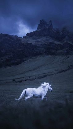 a white horse is running through the grass in front of a mountain range at night