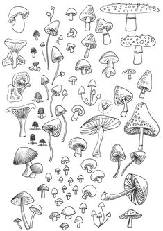 a bunch of mushrooms that are drawn in black and white, with different colors on them