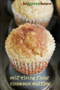 three muffins sitting on top of a metal pan