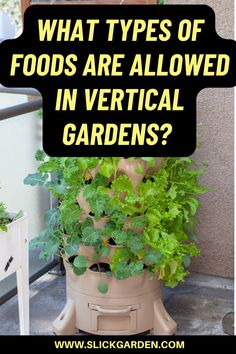 what types of foods are allowed in vertical gardens? - click to see more info