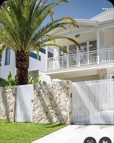 a palm tree in front of a house with white fence and balconies on the balcony