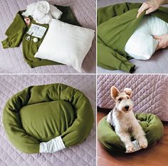 four pictures showing how to make a dog bed for a small dog with no legs