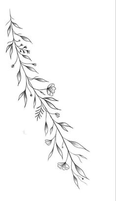 a black and white drawing of a branch with leaves