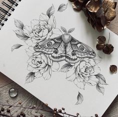 a drawing of a moth and flowers on paper next to some dried up leaves,