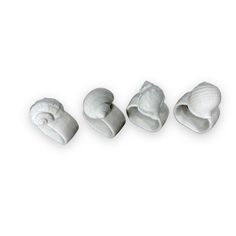 four seashells on a white background, one shell is shaped like a snail