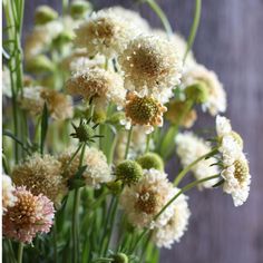 a bunch of flowers that are in a vase on a table with some wood behind them