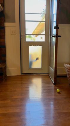 the door is open and there is a tennis ball on the floor