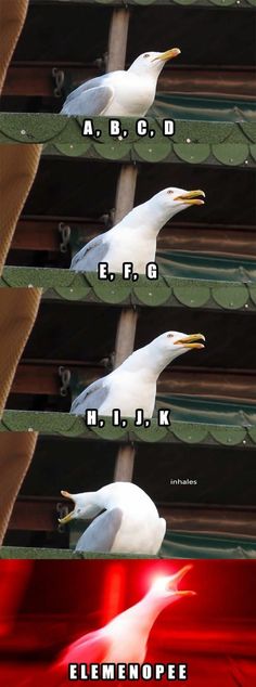 three white birds standing next to each other on top of a red roof with words above them