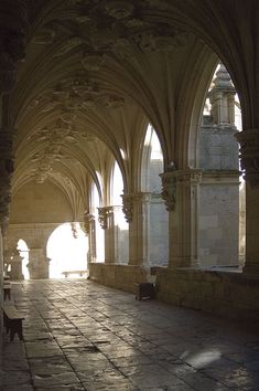 a cat is sitting on the floor in an old building with stone arches and pillars