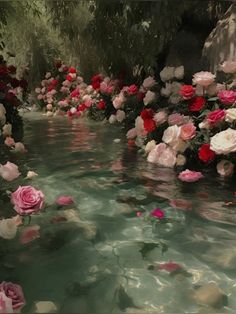 many pink and white roses floating in water next to rocks on the side of a river