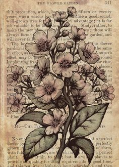 an old book page with flowers on it