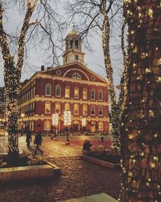 people are walking around in front of a building with christmas lights on the tree's branches