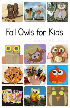 24 awesome owl crafts and activities for kids to try this fall Owl Classroom, Preschool Fall, Autumn Animals, Fall Classroom, Fall Owl, Owl Kids, Pumpkin Activities, Eagle Nest