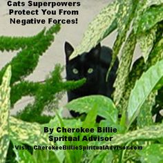 a black cat peeking out from behind some green plants with the caption cats super powers protect you from negative forces