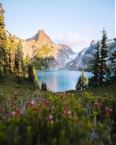 a lake surrounded by trees and flowers with mountains in the background