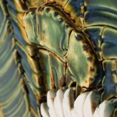 close up view of an animal's skin and claws