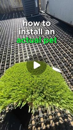 the video shows how to install an artificial pet bed with grass on top and bottom