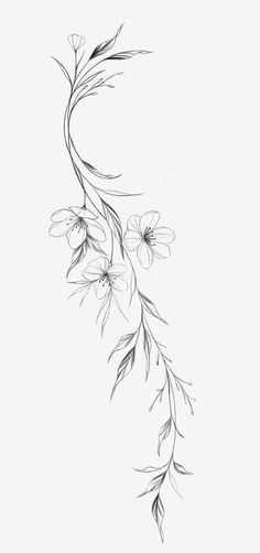 a black and white drawing of some flowers