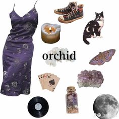 Personality Database, Orchids, Closet