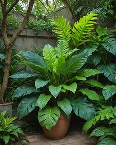 a large potted plant sitting in the middle of a garden