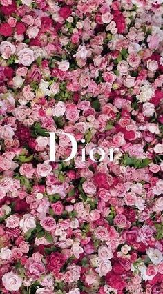 the word dior surrounded by pink flowers