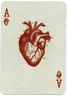 a playing card with an image of a human heart on it's back side