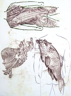 two drawings of different types of birds on paper