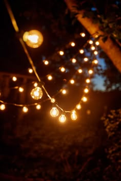 some lights that are hanging from a tree