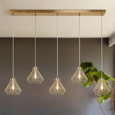 five clear glass hanging lights in a room with a potted plant on the far wall