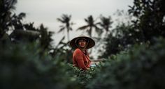 a woman wearing a hat standing in the middle of some bushes and trees with palm trees behind her