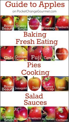 an image of apples with the words baking fresh eating pies cooking salad sauces