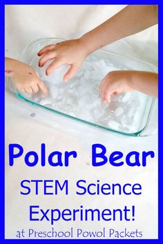 Polar Bear Science, Experiment Preschool, Polar Bear Unit, Polar Animals Preschool, Polar Bears Activities, Stem Preschool, Preschool Stem, Polar Animals, Stem Challenge