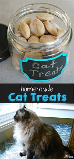 cat treats in a glass jar with the words homemade cat treats written on it and an image