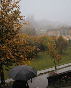 a person with an umbrella is standing in the rain near some trees and buildings on a foggy day