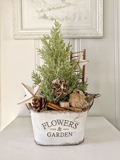 a potted plant sitting on top of a white table next to a framed picture