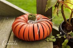 an orange pumpkin sitting on top of a wooden bench next to a potted plant