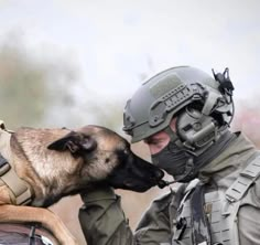 Belgian Malinois Aesthetic, Belgian Malinois K9, Belgian Malinois Training, K9 Officer, Dog Soldiers, Army Dogs, Dog Hero, Belgian Malinois Dog, K9 Dogs