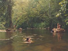 people swimming in a river surrounded by trees