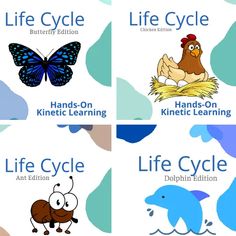 four different kinds of life cycle posters with animals and birds on them, all in blue