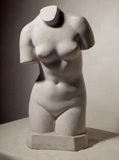 a sculpture of a woman's torso is shown in black and white