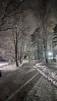 a snowy street at night with the light on and trees in the snow covered ground