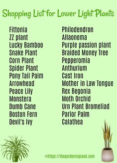 a green poster with the words shopping list for lower light plants in english and spanish