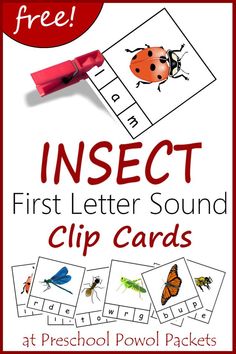 an insect themed letter sound clip cards for preschool