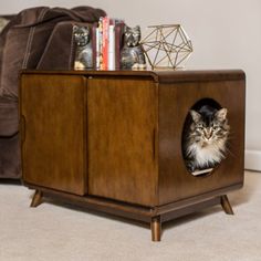 a cat sitting in a wooden box on the floor next to a couch and rug