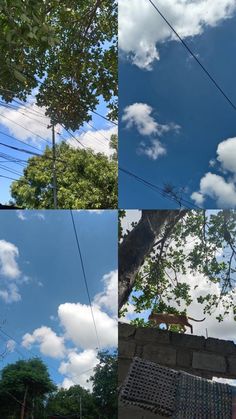 four different pictures of the same tree and sky